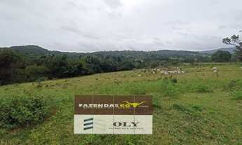 Imagem 7: Oportunidade Extra ! Fazenda em Uruaçu ! 104 Alqueires !