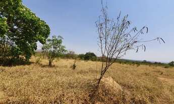 Imagem 2: Fazenda de 102 Alqueires a 80 km de Araguari