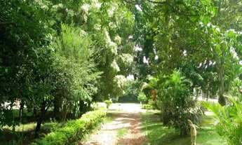 Imagem 3: SÍTIO RURAL À VENDA, GLÓRIA, ITU