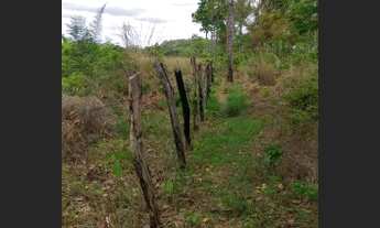 Imagem: Vende Terreno com 4Hectares Codó