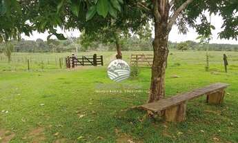 Imagem 7: Ariquemes - Sítio - 42 Alqueires