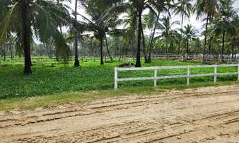 Imagem 2: Condomínio Country Mar