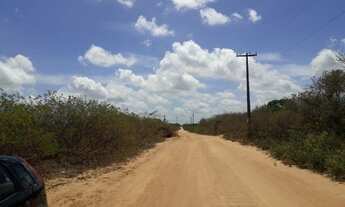 Imagem 2: Pechincha terreno p/ galpao ou gj a. Mineral