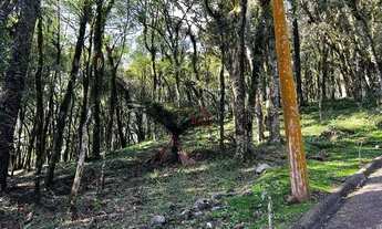 Imagem 5: Terreno no Residencial Pinheiro Grosso em Canela!