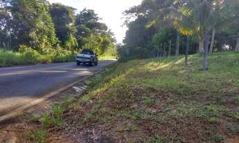 Imagem 4: Fazenda Vale do Rio de Contas, 72 hectares, fundo Rio de Contas, Itacaré,Bahia
