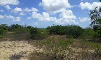 Imagem 6: Pechincha terreno p/ galpao ou gj a. Mineral