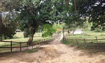 Imagem 6: Haras a venda em Casimiro de Abreu