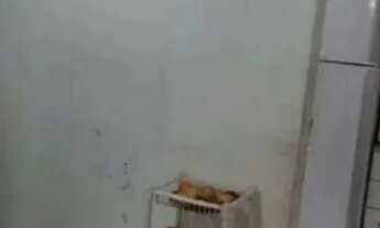 Imagem 5: Vendo imóvel 3/4