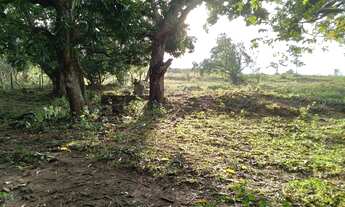 Imagem: Fazenda em piracanjuba