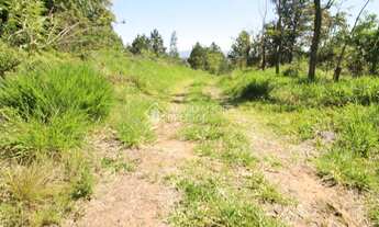 Imagem: SãO LEOPOLDO - Terreno Padrão - Campestre