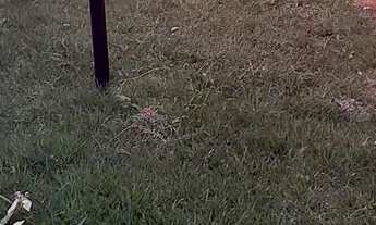 Imagem 6: Casa com salão comercial (troco