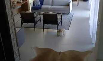 Imagem 3: BELISSIMA CASA MOBILIADA NO CONDOMÍNIO PORTAL DO PARAISO 2- SP