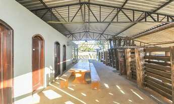 Imagem 3: Campo Largo, 52 alqueires / Confinamento Gado/ Haras