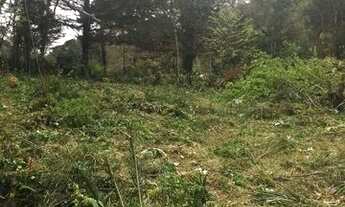 Imagem 2: Chácara são Francisco de Paula