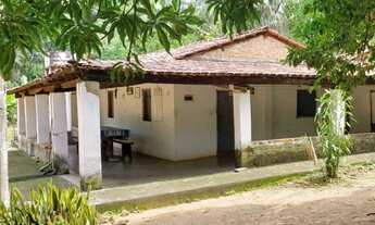 Imagem 3: Vendo fazenda próximo a Palmas TO