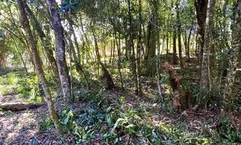 Imagem 4: Sítio Com Entrada De 4.900 E Parcelas De 650. ROB:774