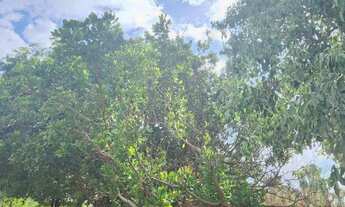 Imagem 2: Vende-se chácara com 20.800m2 no bairro Nova Esperança em Cuiabá MT