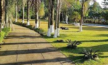 Imagem 2: Ref.: 10003 - Sítio 5000m² - Novo Horizonte