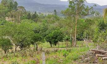 Imagem 4: Sítio "nobre" perto do centro Araricá 6.7 hectares