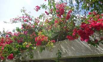 Imagem 4: Maravilhosa casa térrea, no Jardim Floresta, com 374m², 4 quartos, amplo quintal e 4 vagas