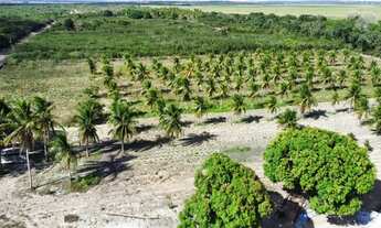 Imagem 2: Granja 5km de Parnamirim