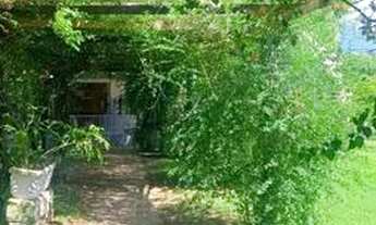 Imagem 7: TAQUARI - Terreno Padrão - Interior