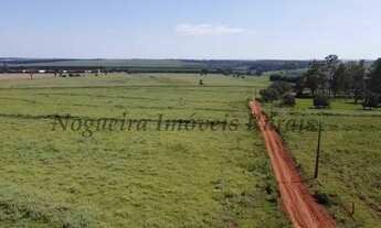 Imagem: Fazenda com 136 alqueires na região de