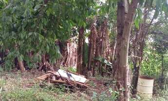 Imagem 4: Área para Venda 1.033m2, Itaim Paulista, Zona Leste! Somente pelo Whats 3678-1324