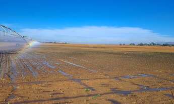 Imagem 2: Fazendas Brasil afora nosso Instagram