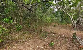 Imagem 4: VENDO 20 hectares, TERRENO NA BR343, ENTRE TERESINA/ALTOS