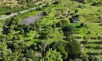 Imagem 5: Excelente fazenda com 50 hectares na região de São Gonçalo do Amarante cortada pelo rio Po