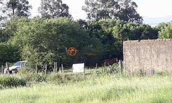 Imagem: Requinte oferece