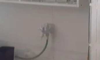 Imagem 7: Vendo casa duplex centro de inoa marica