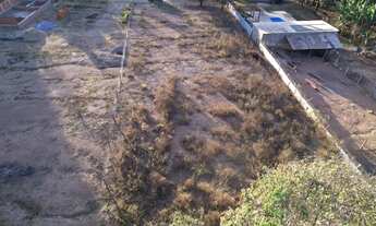 Imagem 7: Vendo mini chácara ponte alta sul Gama-DF