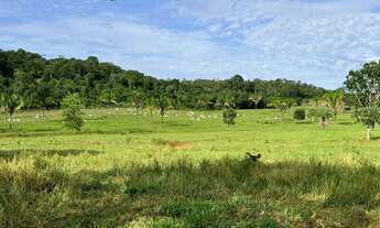 Imagem 2: Fazenda a venda, Próximo a Palmas-TO, Oportunidade