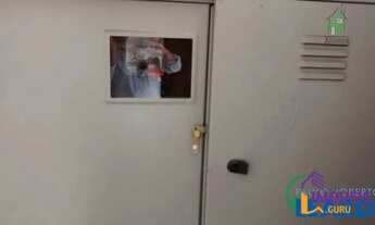 Imagem 3: GALPÃO - VILA ANTONIETA - SP