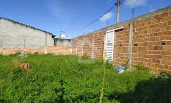 Imagem 7: Lote murado em General Maynard