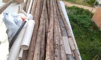 Imagem 2: Vendo estroncas de eucalipto no precinho