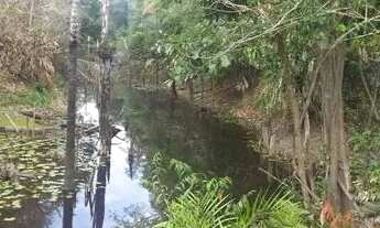 Imagem 4: Vendo Sítio Med 620.000m2 na Estrada de Autazes Km 32 em frente e comunidade Bom Jesus