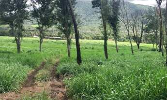 Imagem 5: Segura peão, que ótima fazenda