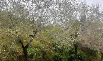 Imagem 7: Terreno - Bairro Vale das Colinas