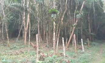 Imagem 6: Terrenao 4 mil mts com ribeirao 4 km da BR estudo auto