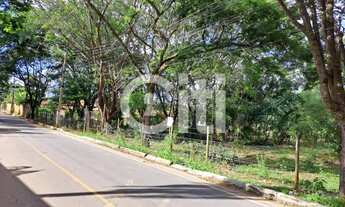 Imagem 2: BAIRRO VILA MARIA