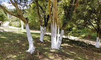 Imagem 6: Sítio são Jorge