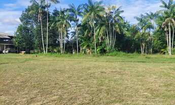 Imagem 5: SITIO AM 010 KM 125... RIO PRETO DA EVA