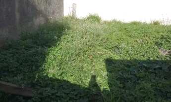 Imagem 5: Terreno 192 m² Localizado No bairro Rica Santo André - SP