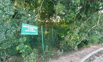 Imagem 4: Ótimo lote à venda no Condomínio Saint Louis, em Viamão!