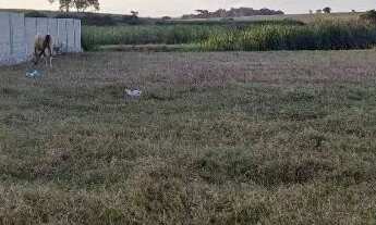 Imagem 4: Vendo terreno no Morada Rural em Guaxindiba