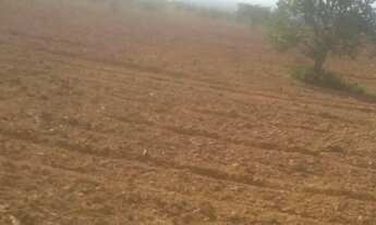 Imagem 3: Fazenda de 625 Hectares de Terras de Cultura e Cerrado Vermelho, Muita Madeira de Lei - Ri