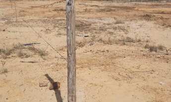 Imagem 2: Vendo Terreno Localizado santa Maria